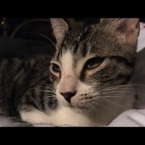 Meet your Posher, Candice